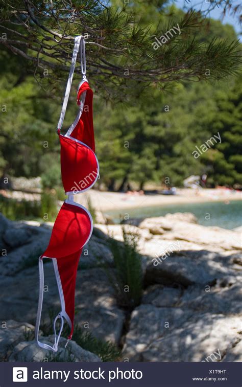 teen naked beach|3,704 Naturism Stock Photos and High